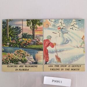 Flowers Blooming in Florida While Snow is Falling in North 1940s Linen Postcard
